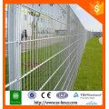 China Supply High Quality 8/6/8 Clôture soudée, Double Wire Fence